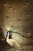 Misinterpretations Misinterpretations