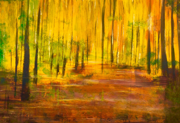 Bild " Wald 4"