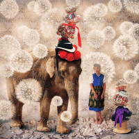 "Dandelion" "Dandelion"